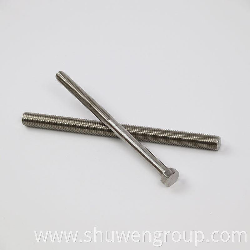 Stainless steel long hex head bolt